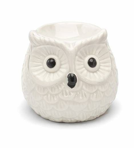 Bruleur en céramique pour le faire fond des fondent avec une bougie chauffe plats