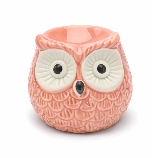 Bruleur en céramique pour le faire fond des fondent avec une bougie chauffe plats