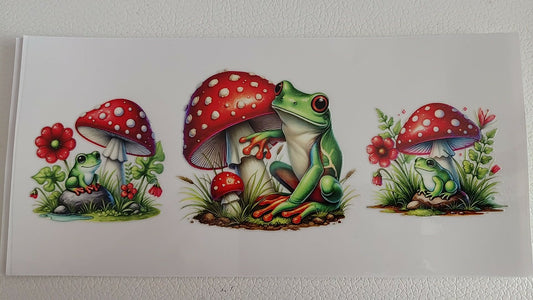 grenouille dans la nature 